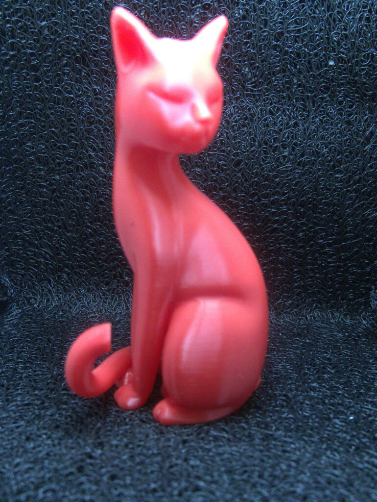 Un chat